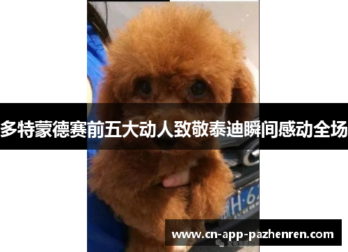 多特蒙德赛前五大动人致敬泰迪瞬间感动全场