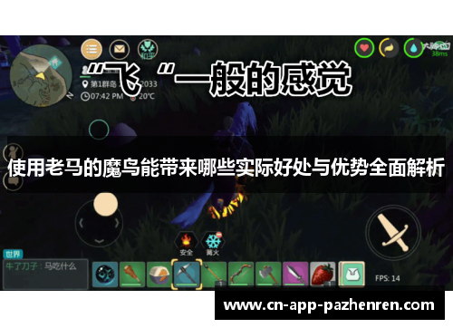 使用老马的魔鸟能带来哪些实际好处与优势全面解析