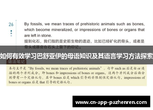 如何有效学习巴舒亚伊的母语知识及其语言学习方法探索