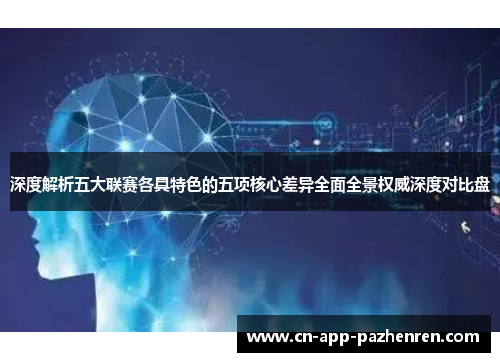 深度解析五大联赛各具特色的五项核心差异全面全景权威深度对比盘