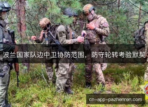 波兰国家队边中卫协防范围，防守轮转考验默契