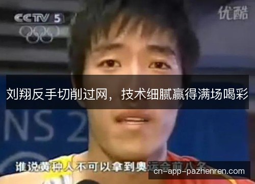 刘翔反手切削过网，技术细腻赢得满场喝彩